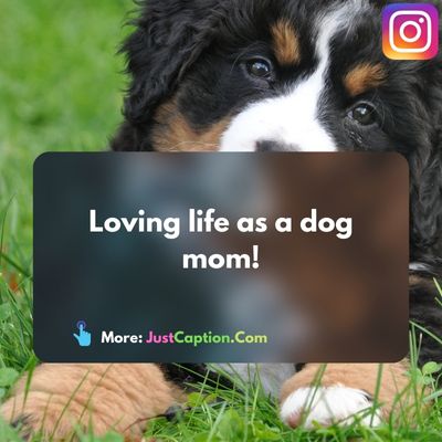Dog Mom Captions for Instagram