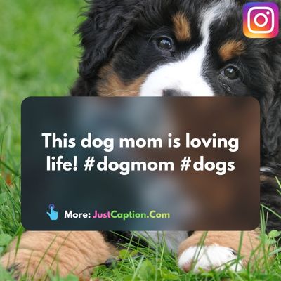 Proud Dog Mom Captions