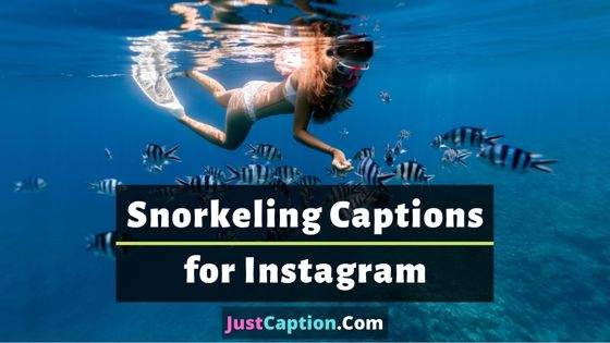 180+ Best Underwater Snorkeling Captions for Instagram