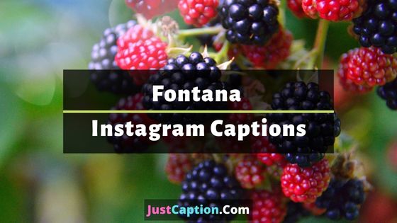 Fontana Instagram Captions