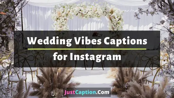 Wedding Vibes Captions for Instagram