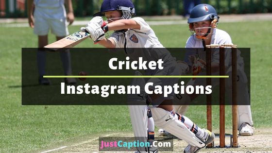 Cricket Instagram Captions